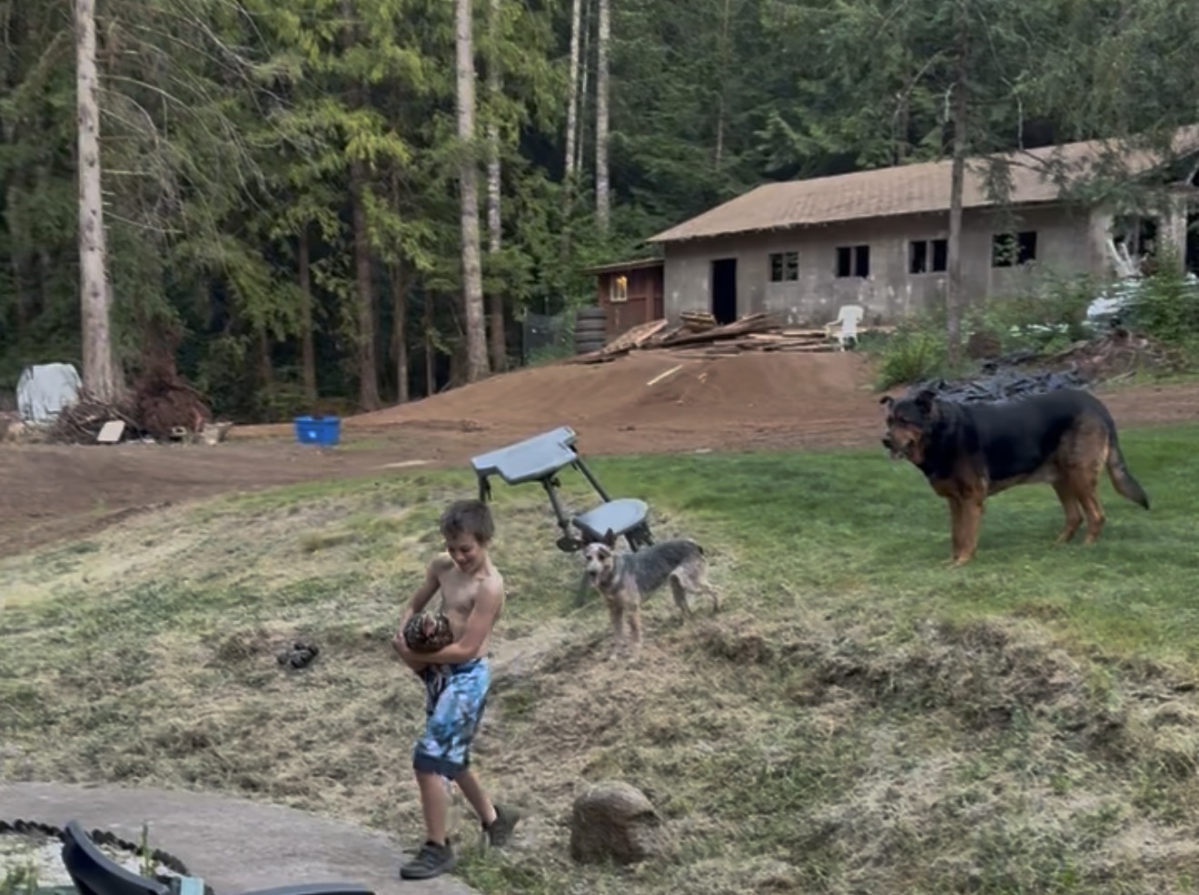 Acreage in Lane County Oregon